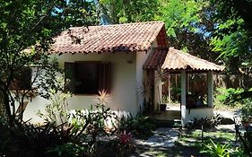 Campo das Margaridas Santo Andre